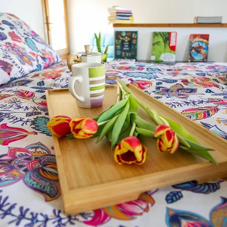 Bloom And Wood - A Zen Retreat At Emily Casa vacanze