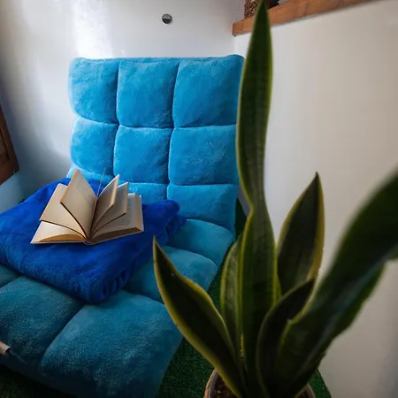 Bloom And Wood - A Zen Retreat At Emily Holiday home