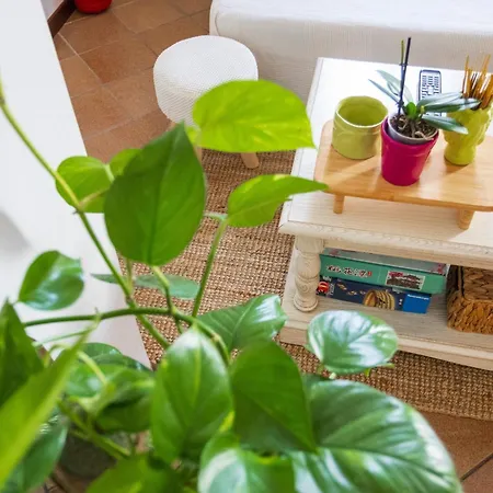 Nyaraló Bloom And Wood - A Zen Retreat At Emily